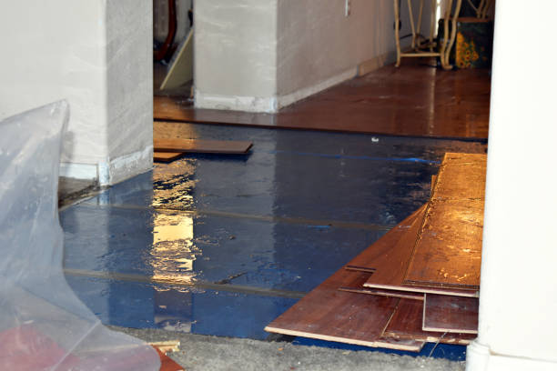 Professional Flood Damage Repair technician working in Levan, UT